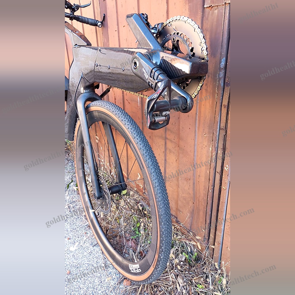 Adult Recumbent Bicycle