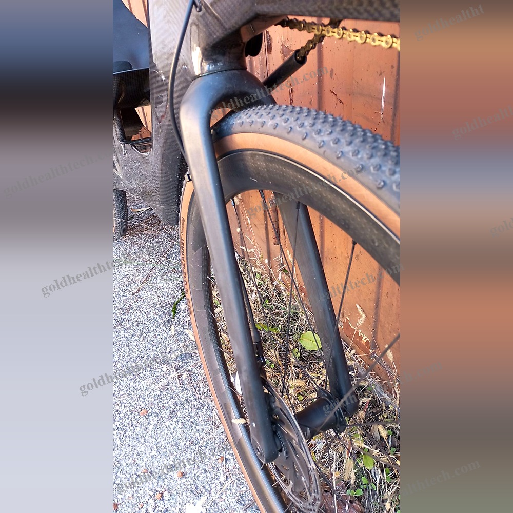 Adult Recumbent Bicycle
