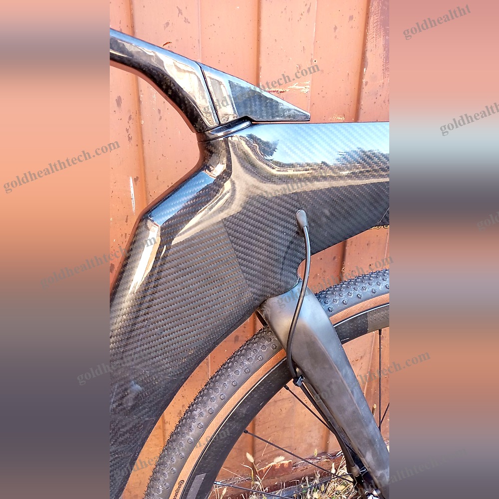 Adult Recumbent Bicycle