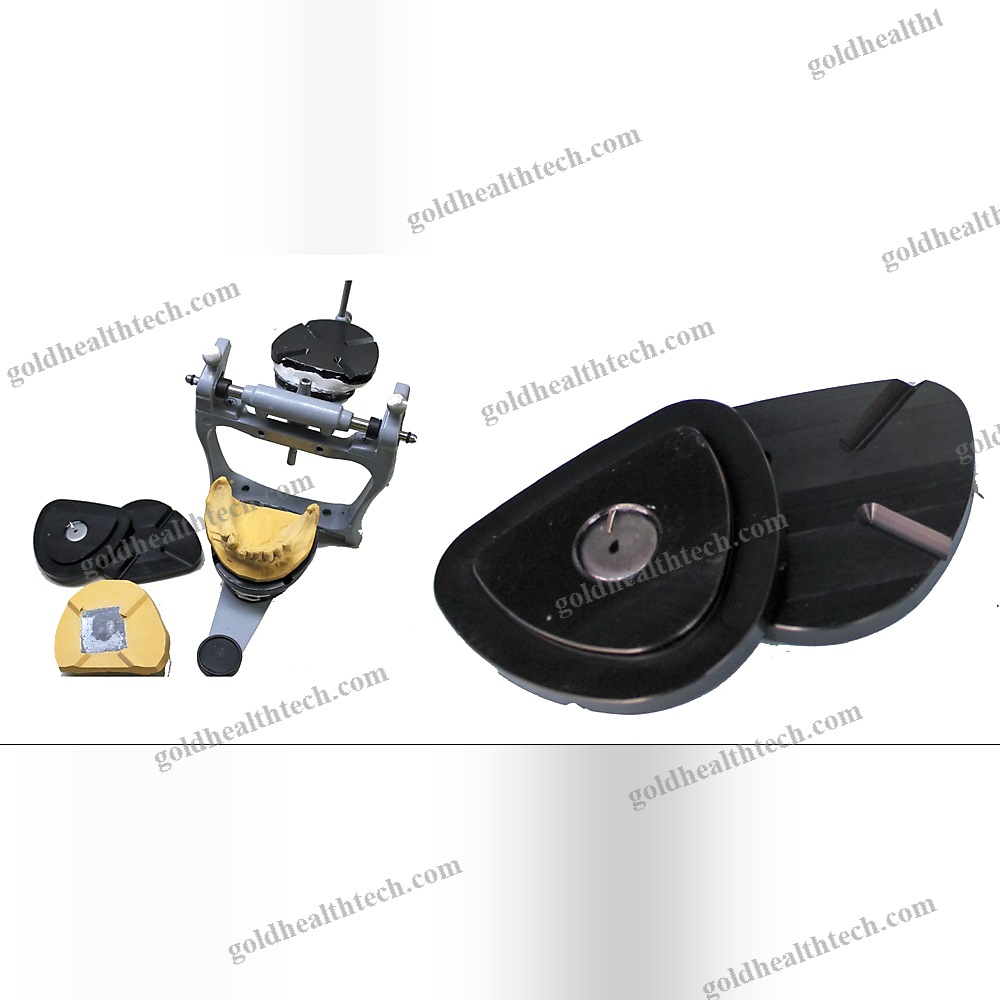 Polymerization Dental Flask