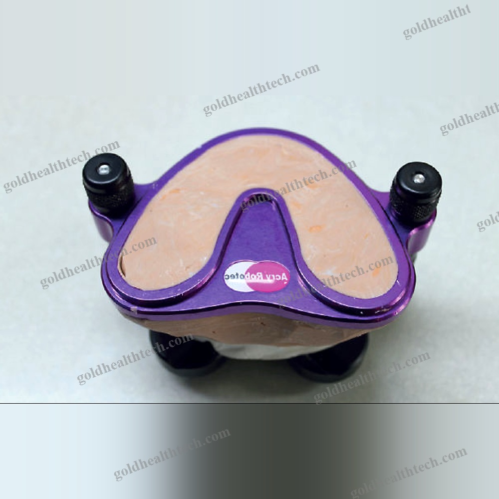 Polymerization Dental Flask