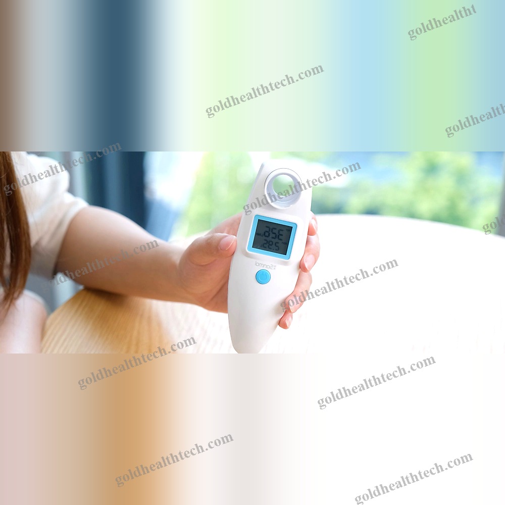 Electronic Peak Flow Meter