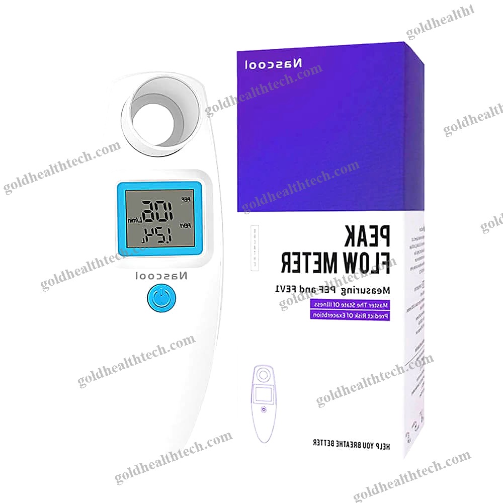 Electronic Peak Flow Meter