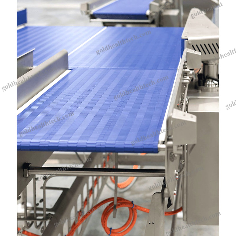 Conveyor For The Food Industry