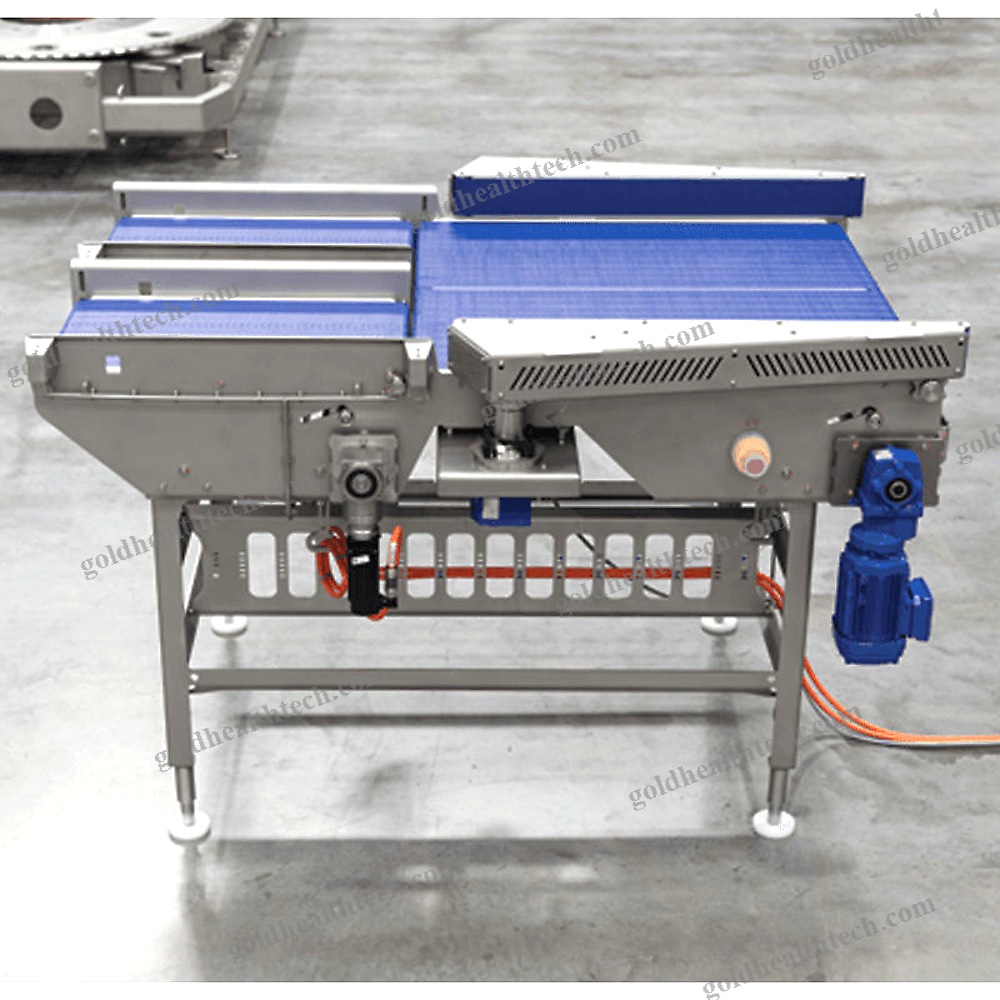 Conveyor For The Food Industry