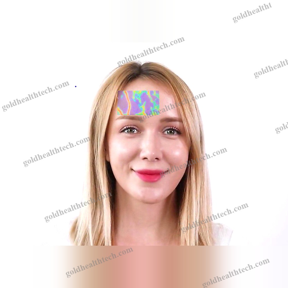 Led Vein Viewer