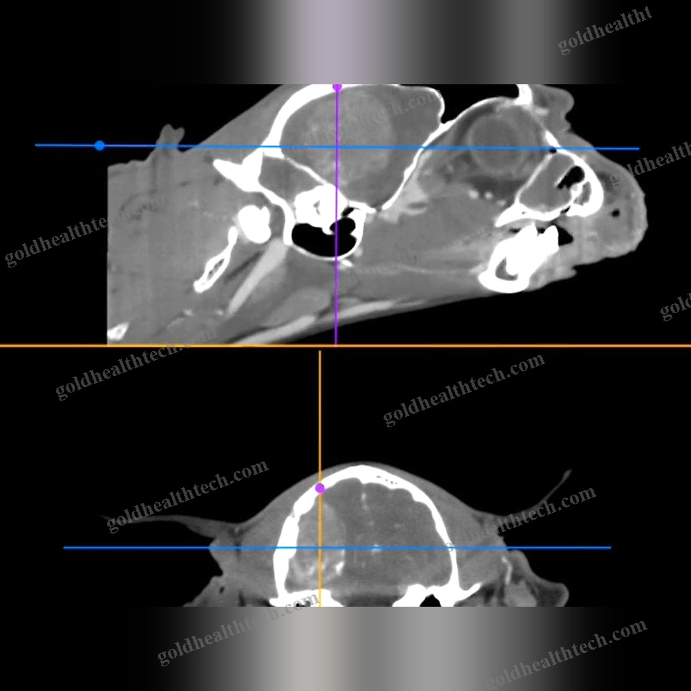 Veterinary Pacs