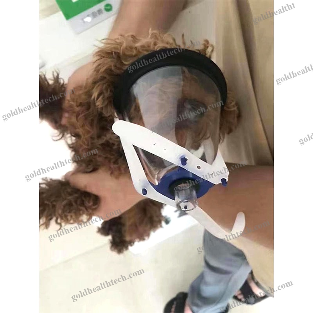 Anesthesia Veterinary Mask