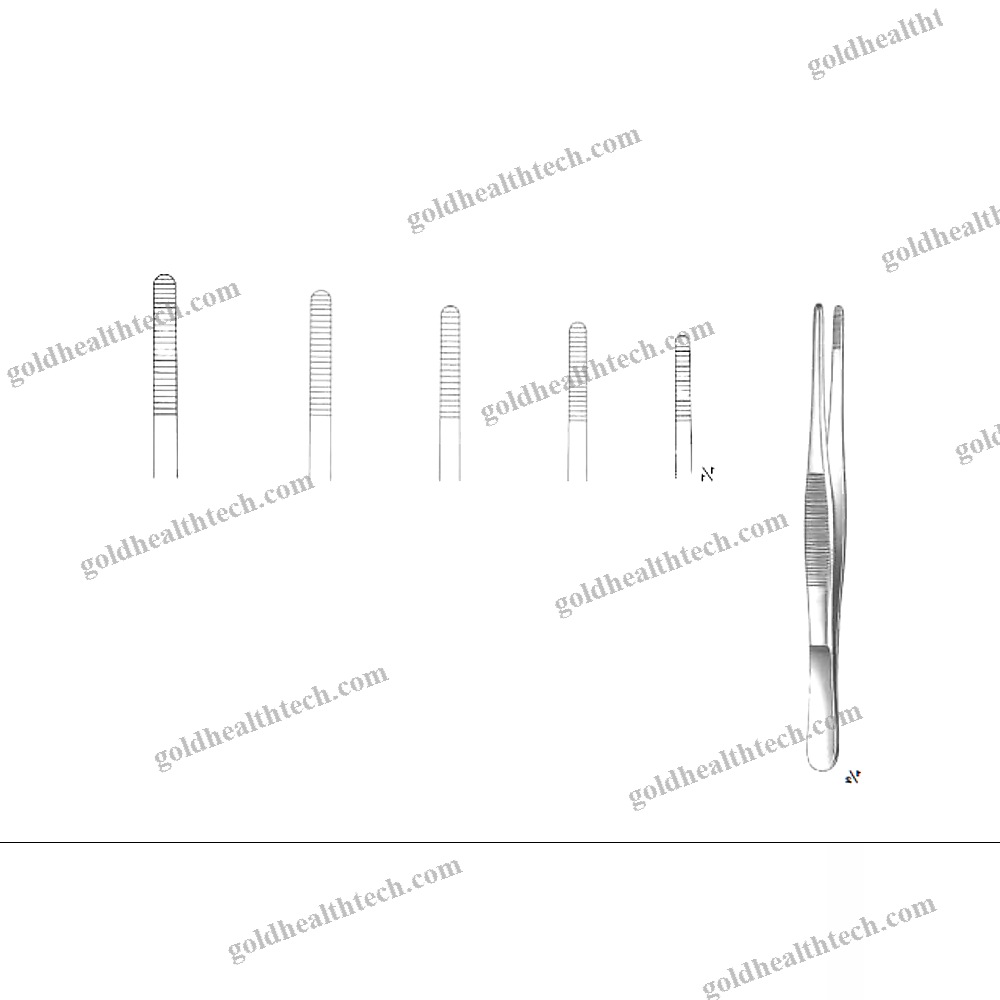 Dental Forceps