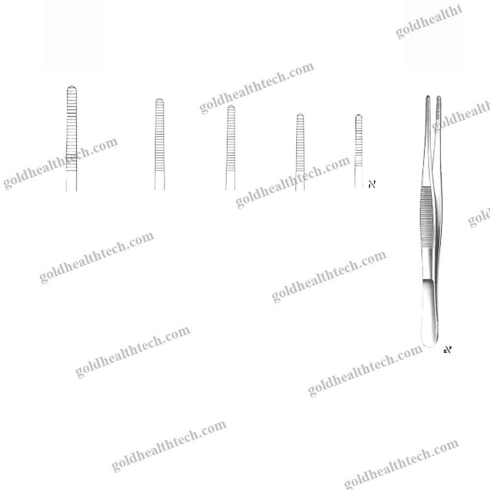 Dental Forceps