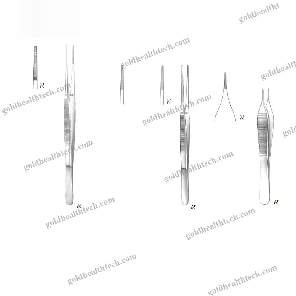 Dental Forceps