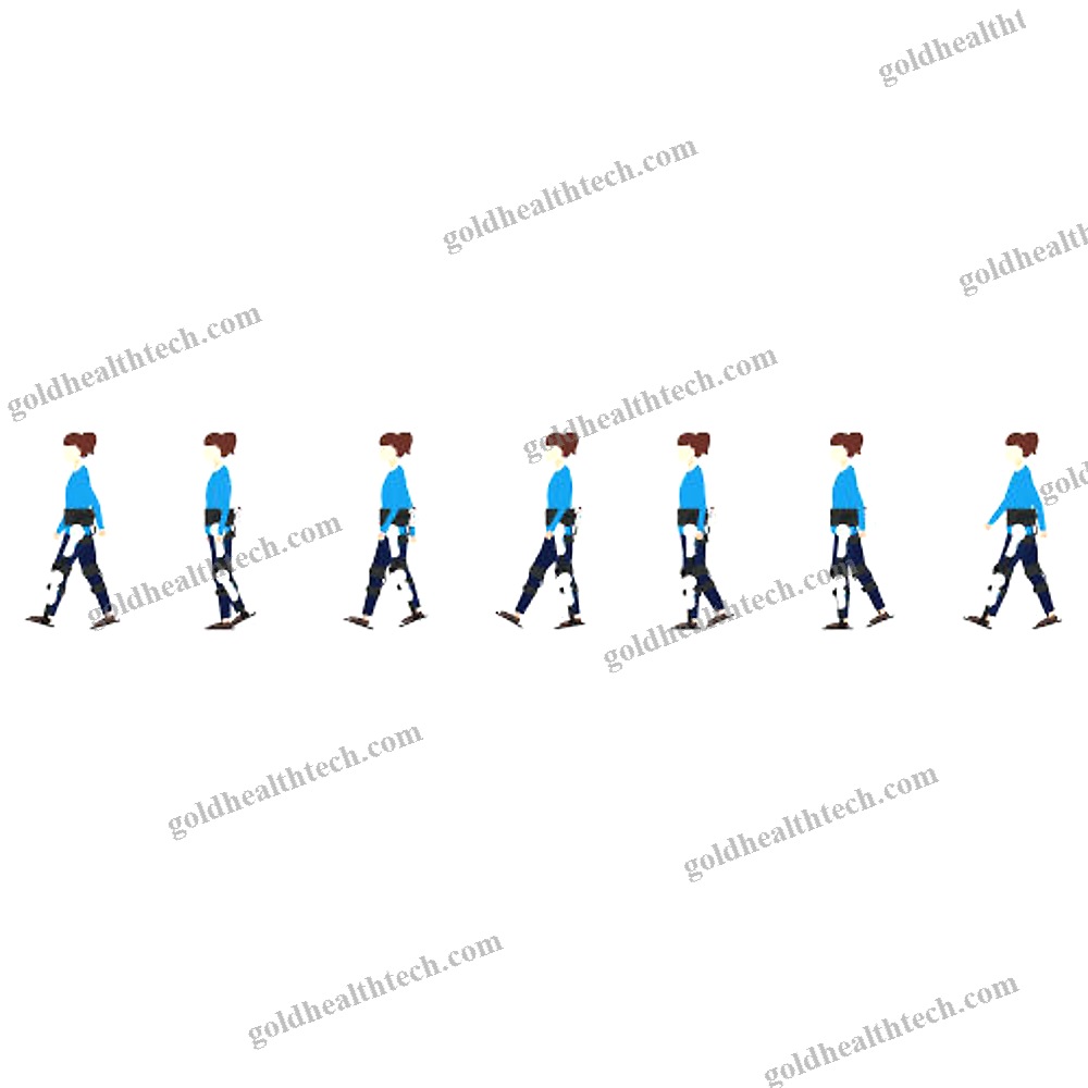 Dual-Leg Rehabilitation Exoskeleton