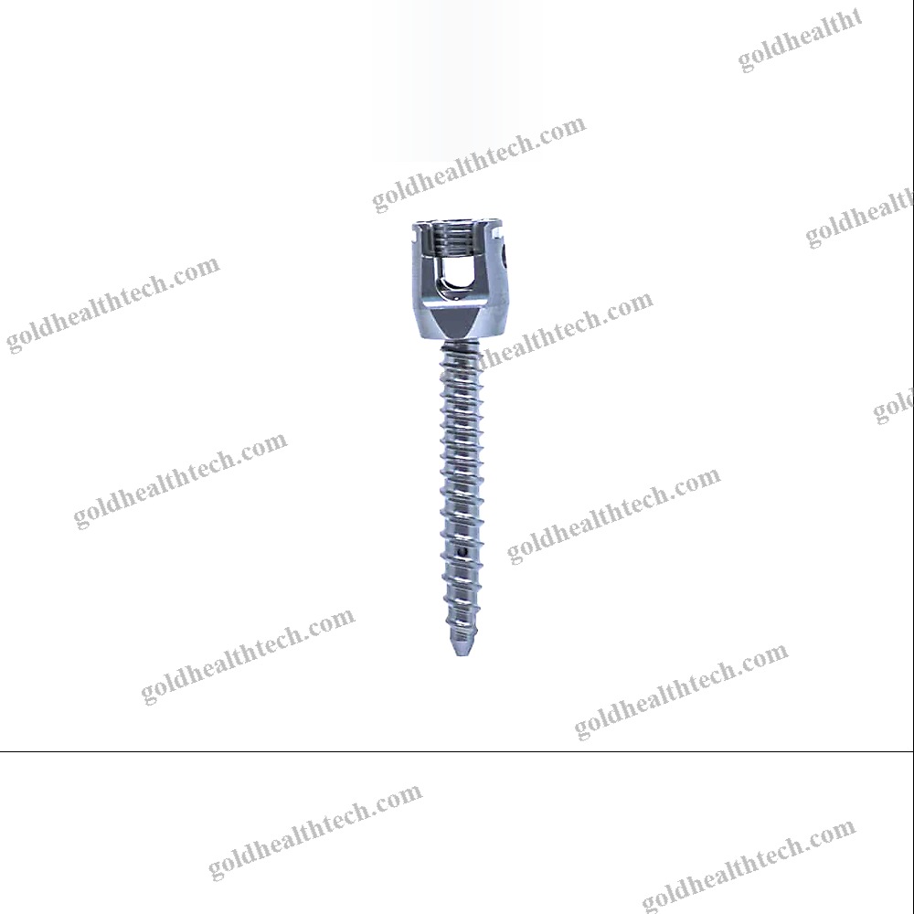 Thoraco-Lumbo-Sacral Osteosynthesis Unit