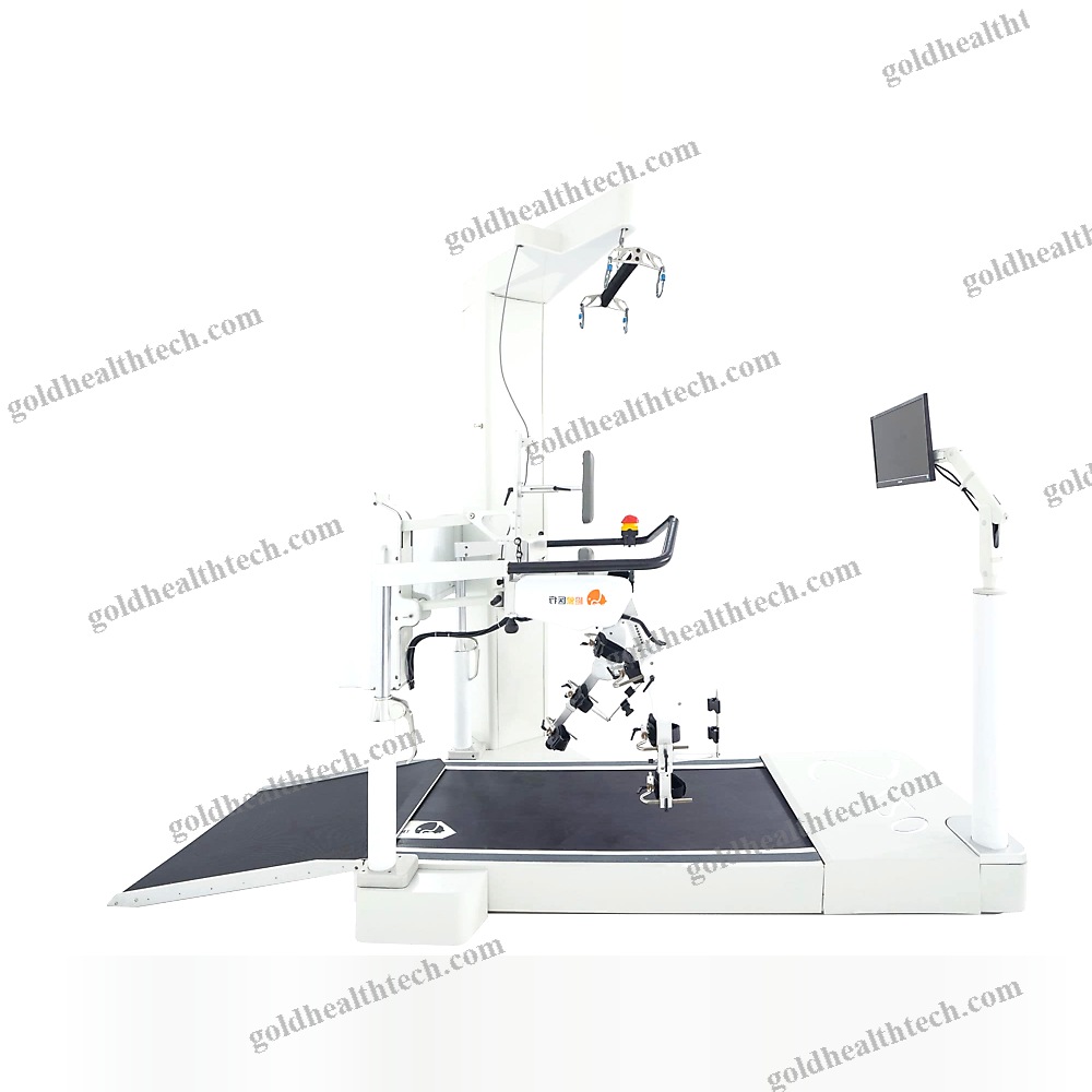 Gait Rehabilitation System
