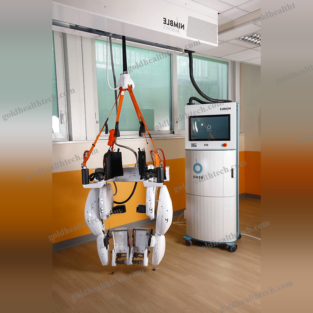 Dual-Leg Rehabilitation Exoskeleton