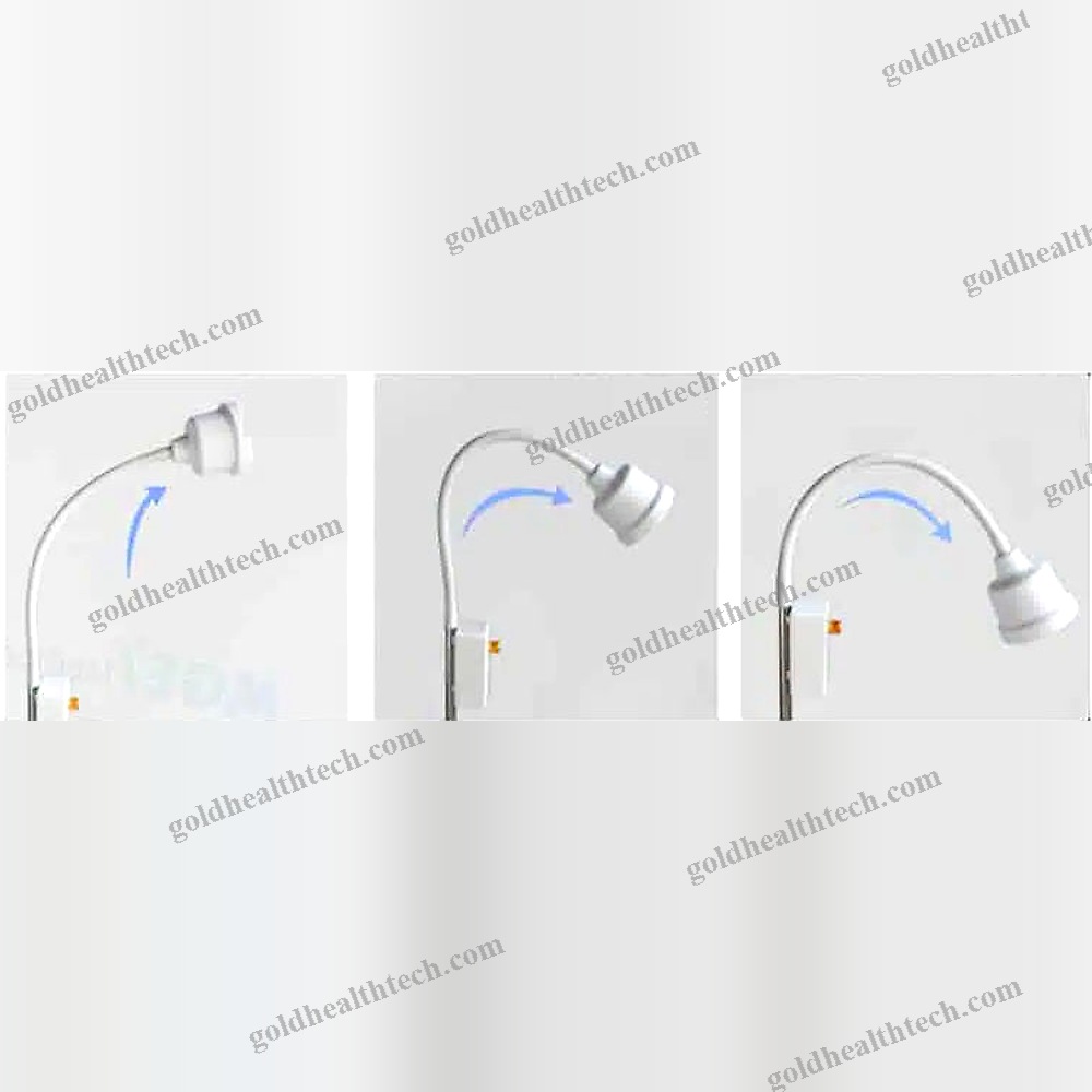 Veterinary Examination Lamp