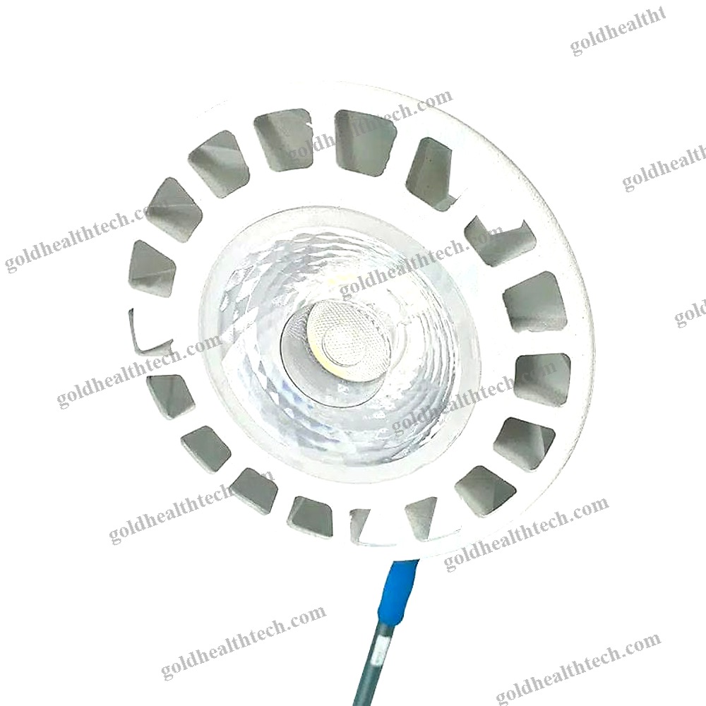Veterinary Examination Lamp