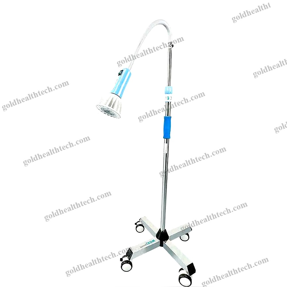 Veterinary Examination Lamp