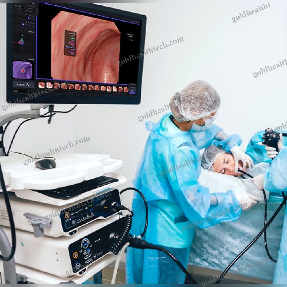 Gastrointestinal Ai Platform