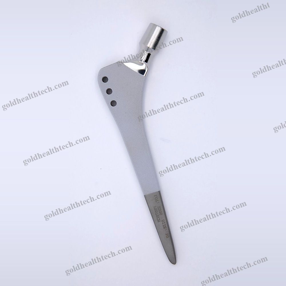 Revision Hip Prosthesis