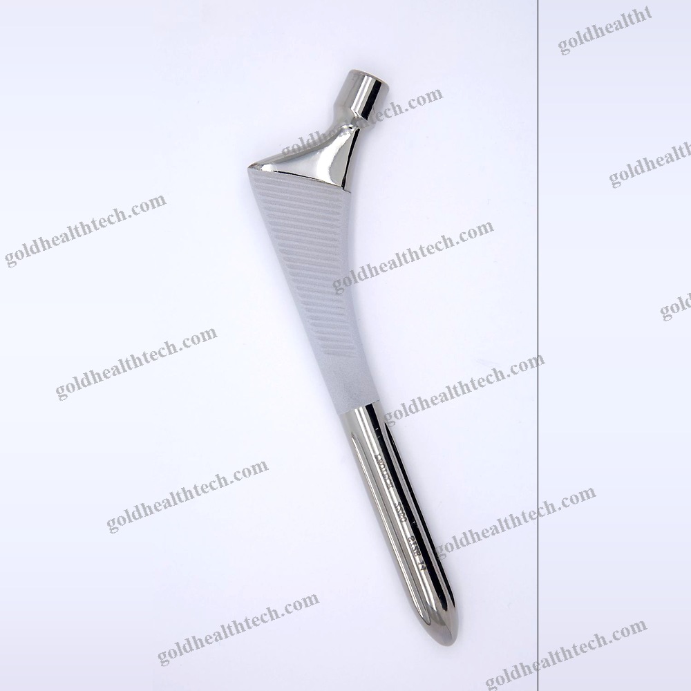 Revision Hip Prosthesis