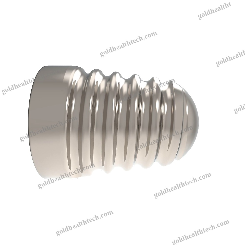 Subtalar Joint Implant