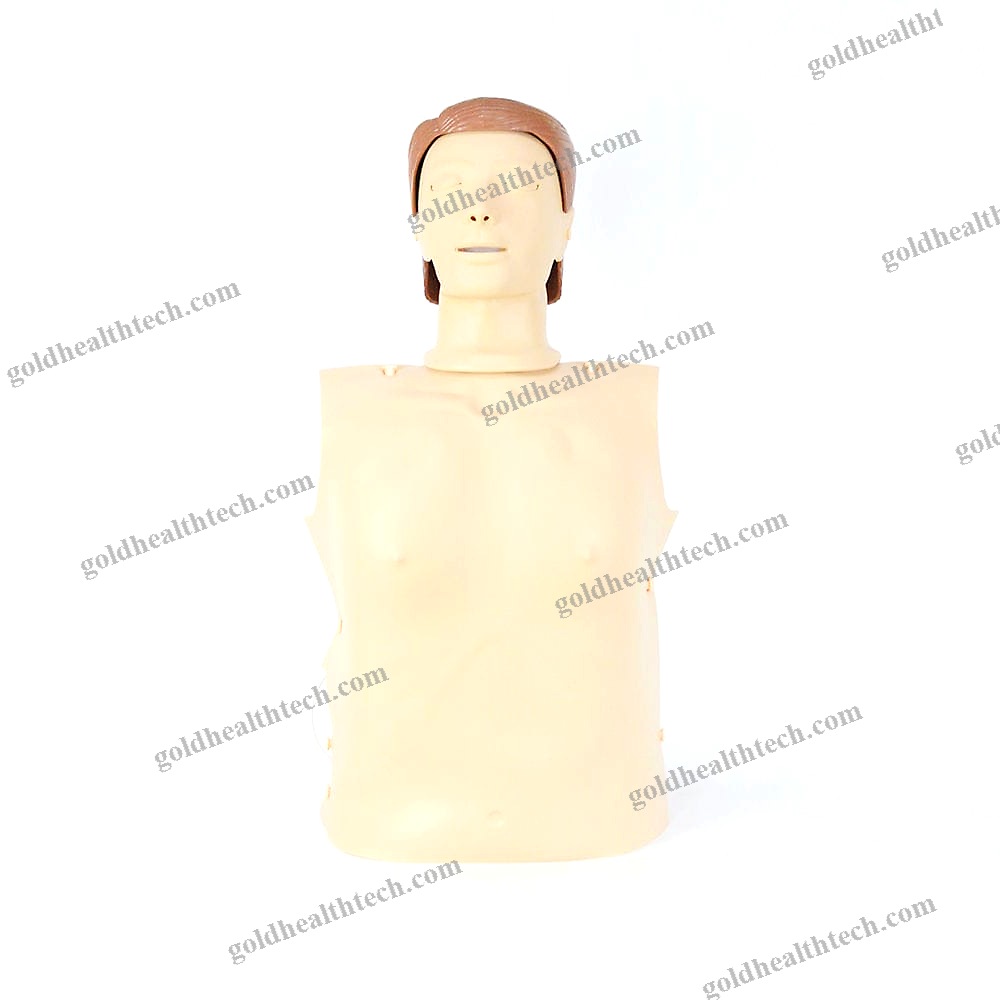 Cpr Training Manikin