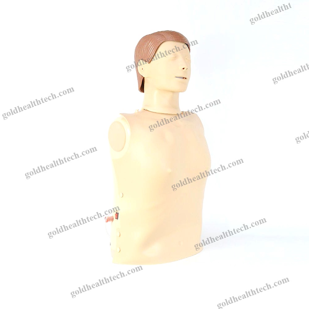 Cpr Training Manikin
