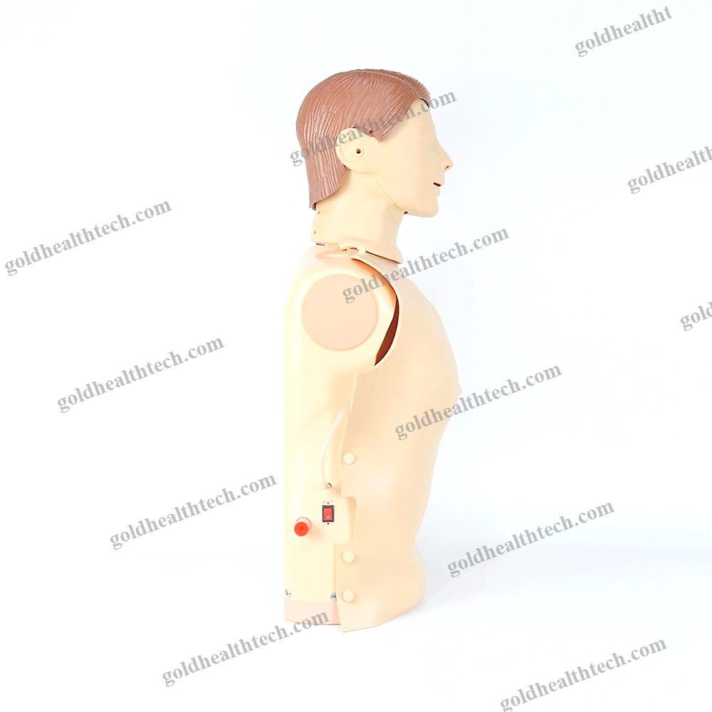 Cpr Training Manikin