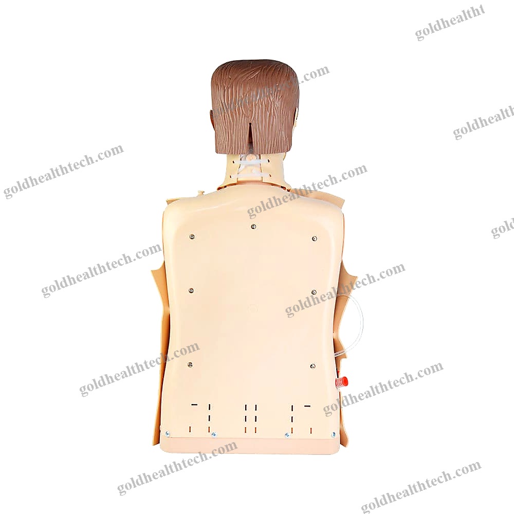 Cpr Training Manikin