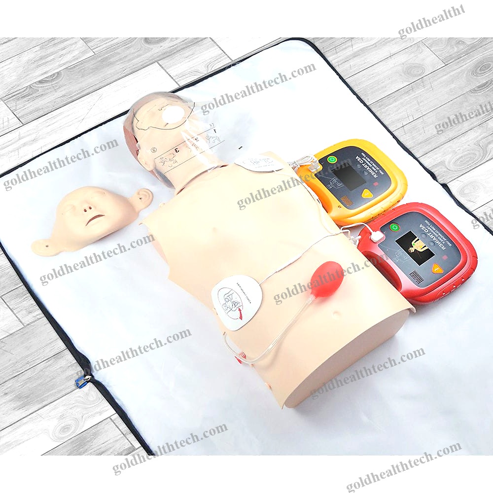 Cpr Training Manikin