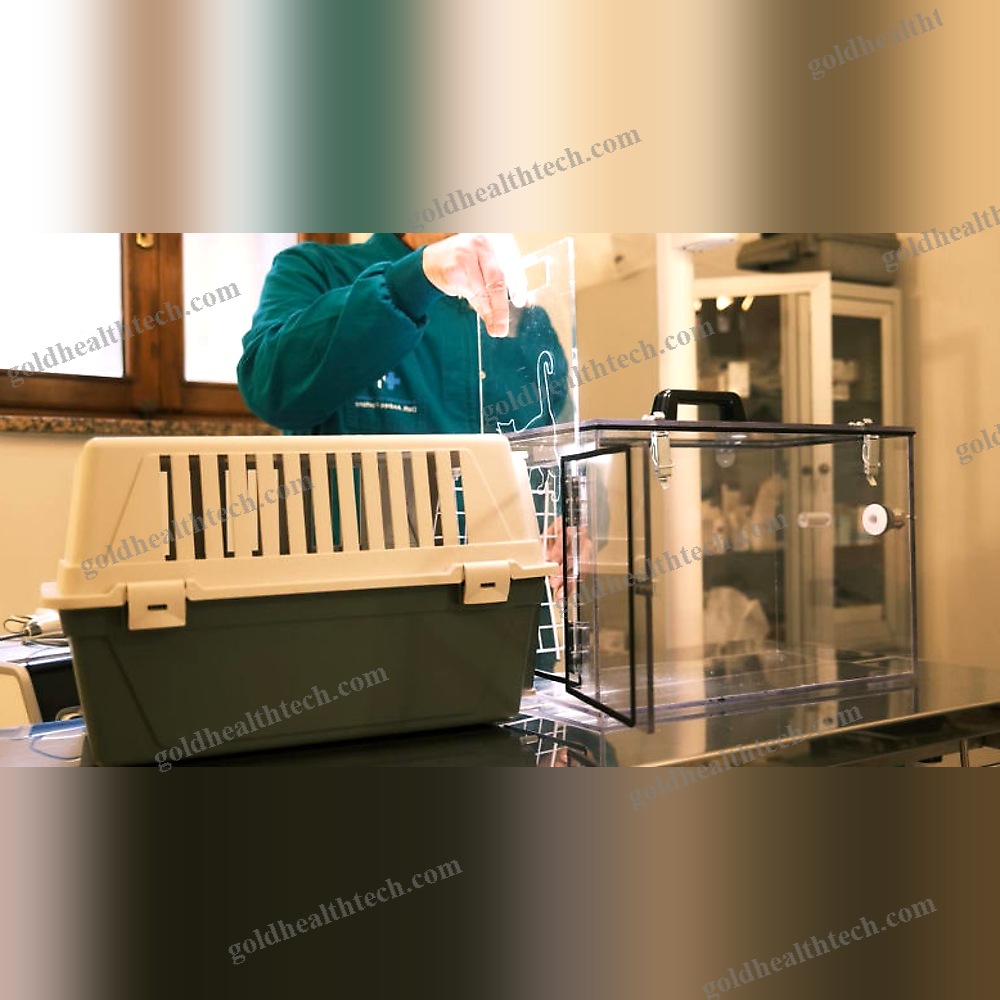 Veterinary Anesthesia Induction Chamber