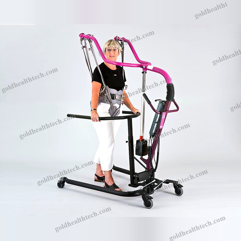 Electric Stander