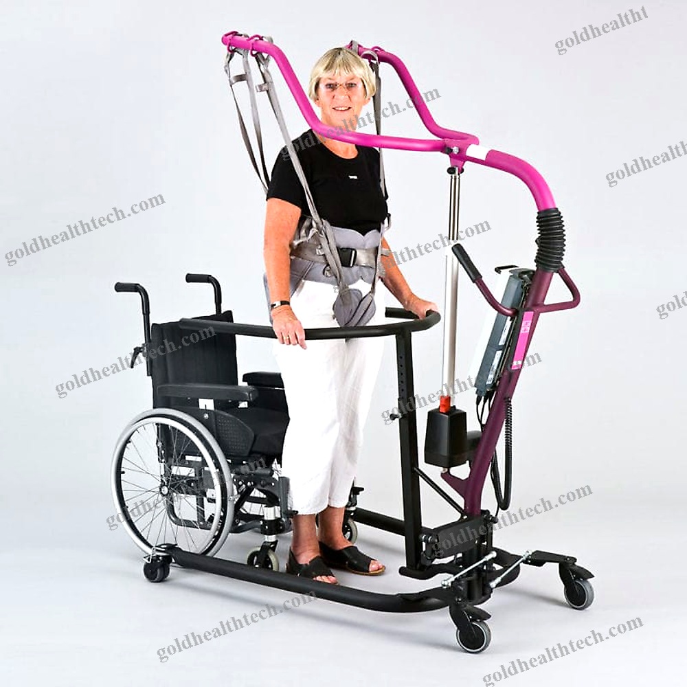 Electric Stander