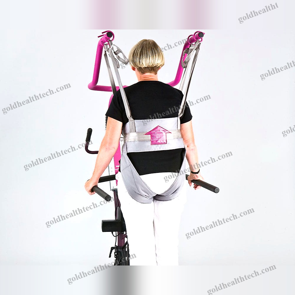 Electric Stander