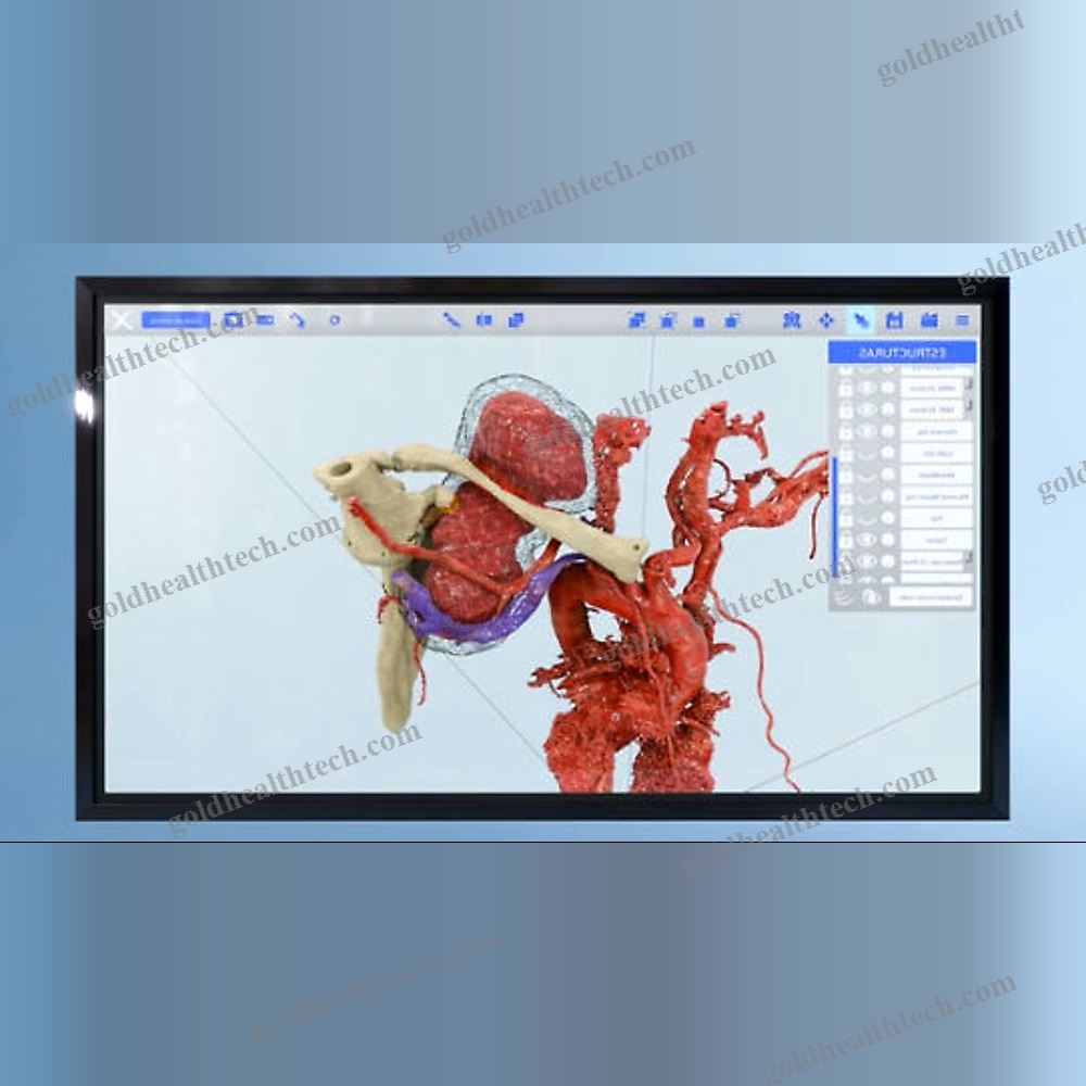 Medical Software