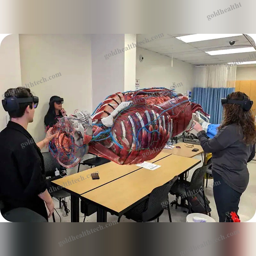 Immersive Virtual Reality Platform