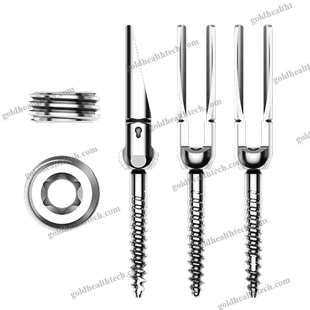 Thoraco-Lumbar Osteosynthesis Unit
