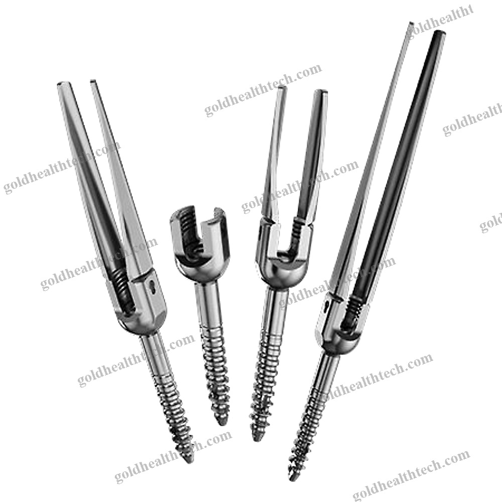 Thoraco-Lumbar Osteosynthesis Unit