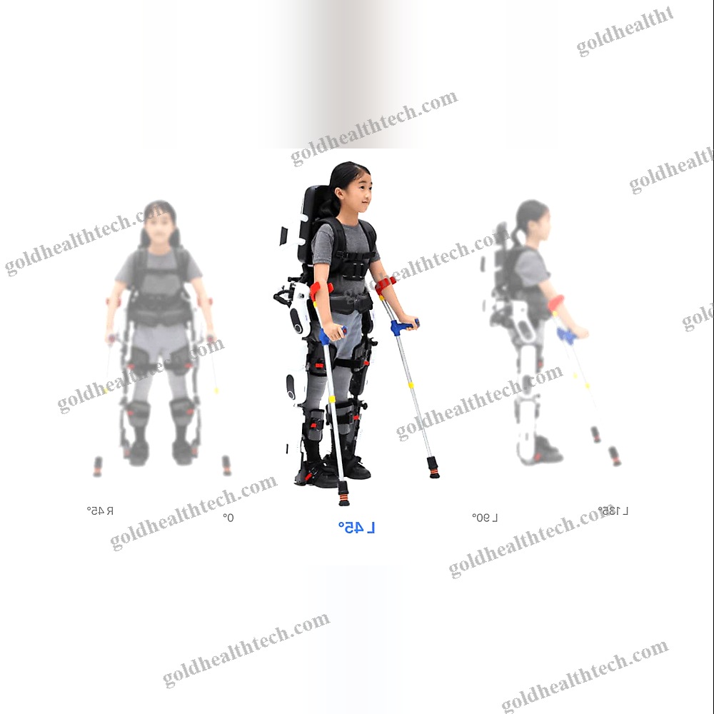 Dual-Leg Rehabilitation Exoskeleton