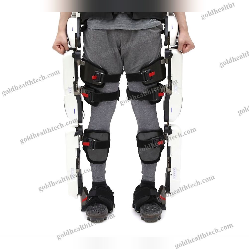Dual-Leg Rehabilitation Exoskeleton