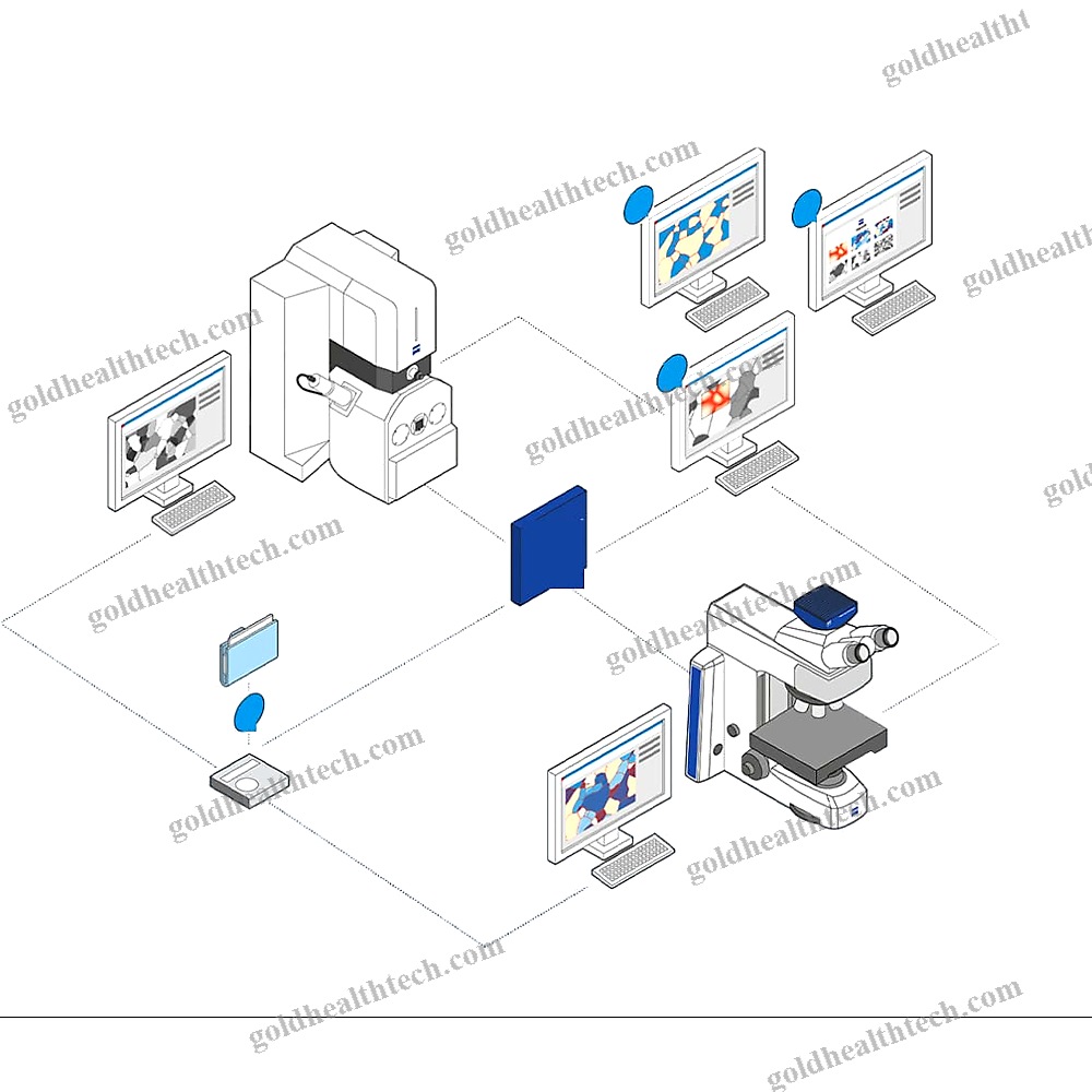 Optical Microscope