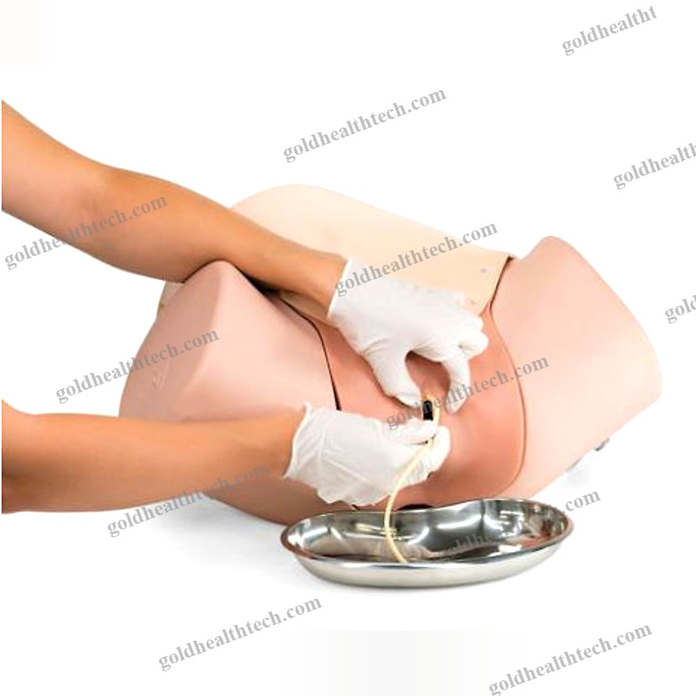 Training Simulator