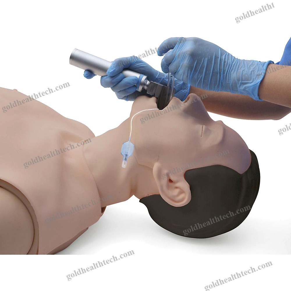 Training Simulator
