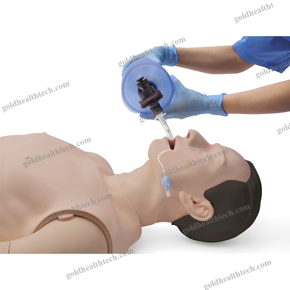 Training Simulator
