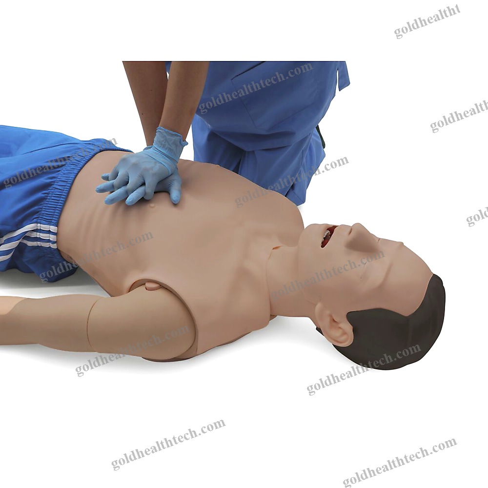 Training Simulator