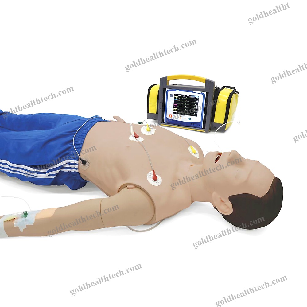 Training Simulator