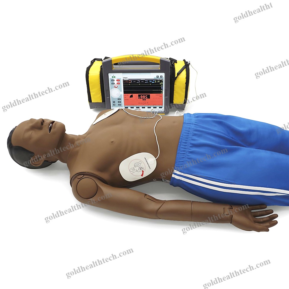 Training Simulator