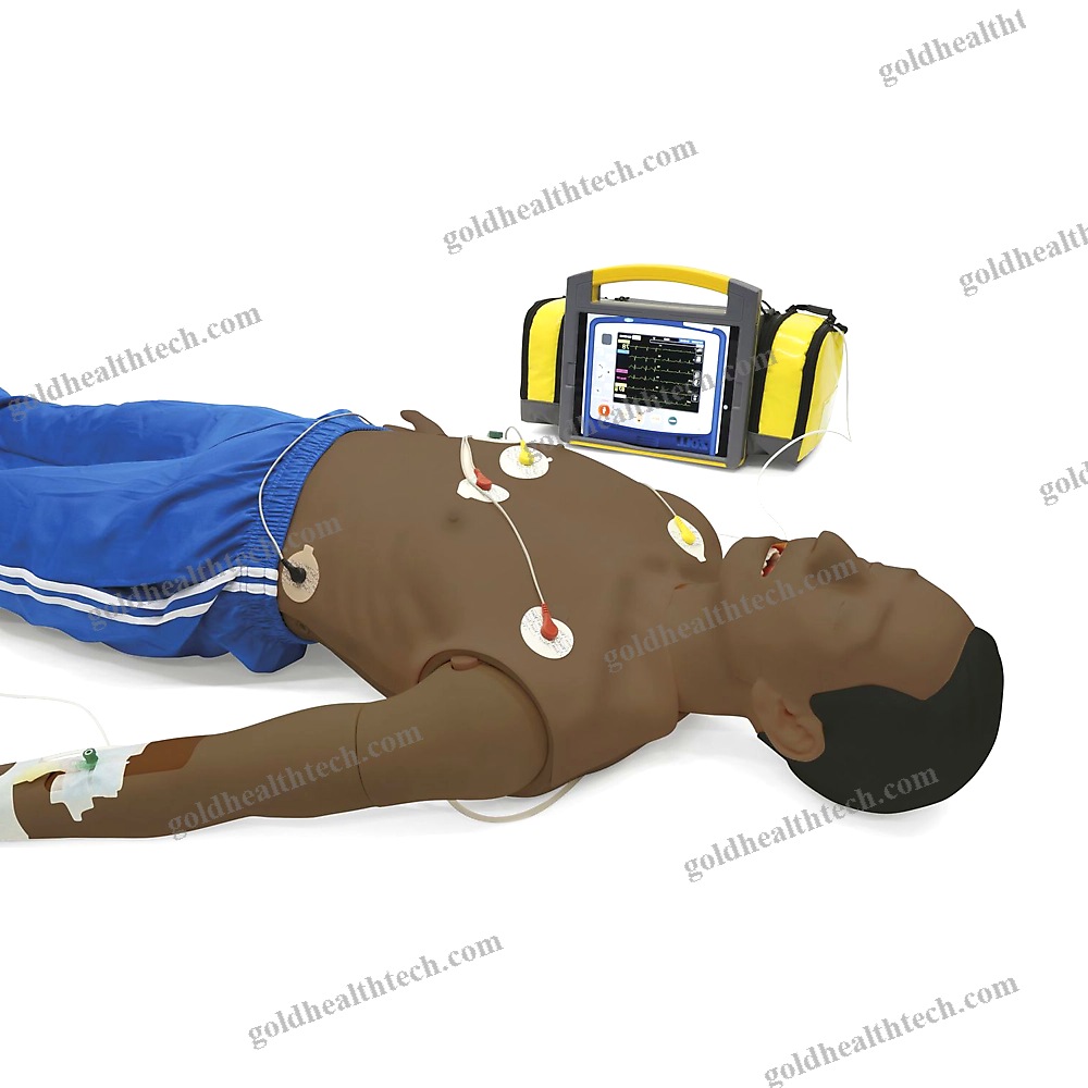Training Simulator