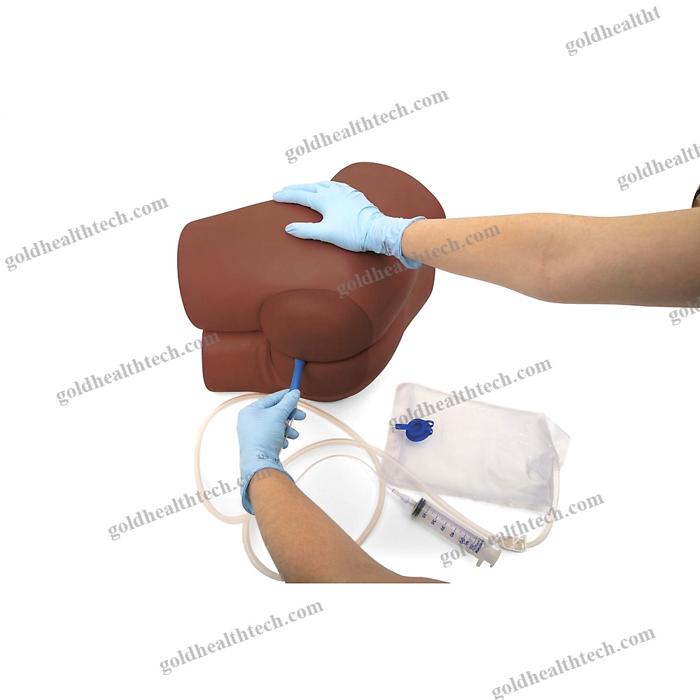 Rectal Touch Patient Simulator